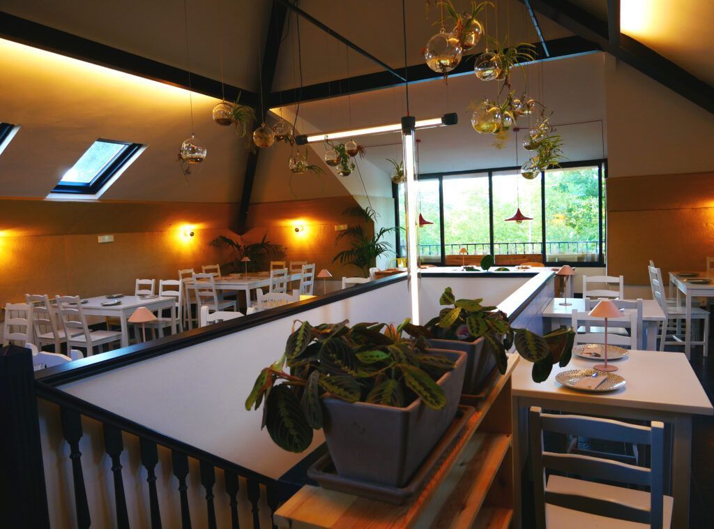 Restaurante Traveler