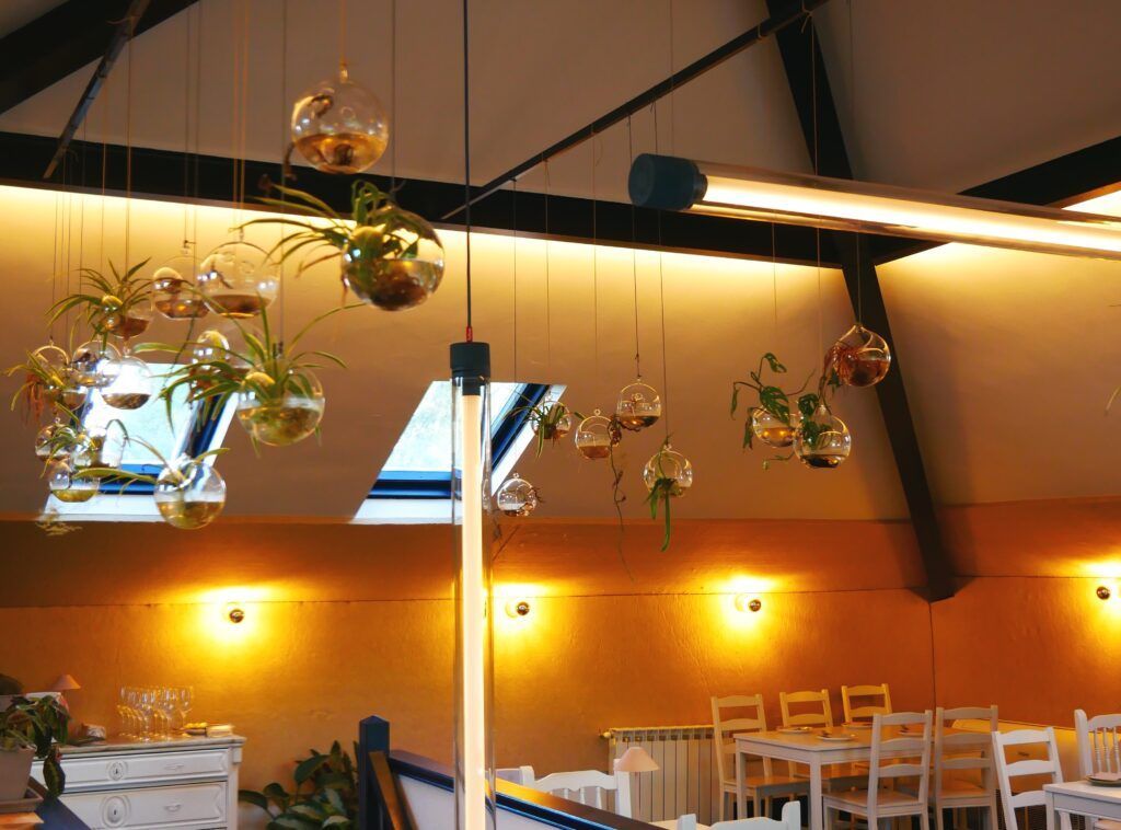 Restaurante Traveler